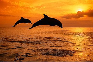 《厌山夜话》公布首支预告片 1月25日Demo上线